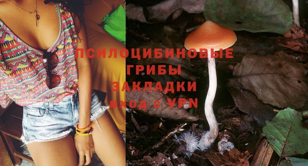 прущая мука Михайлов