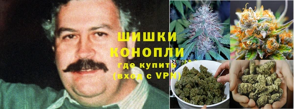 PSILOCYBIN Михайловка